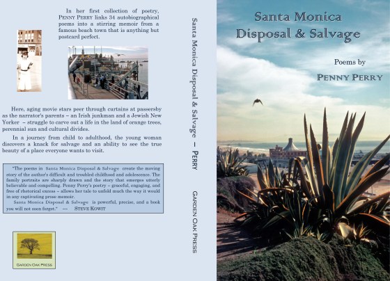 Santamonicadispsoal&amp;salvagecover