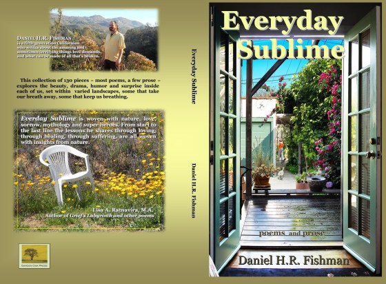 EverydaySublime cover