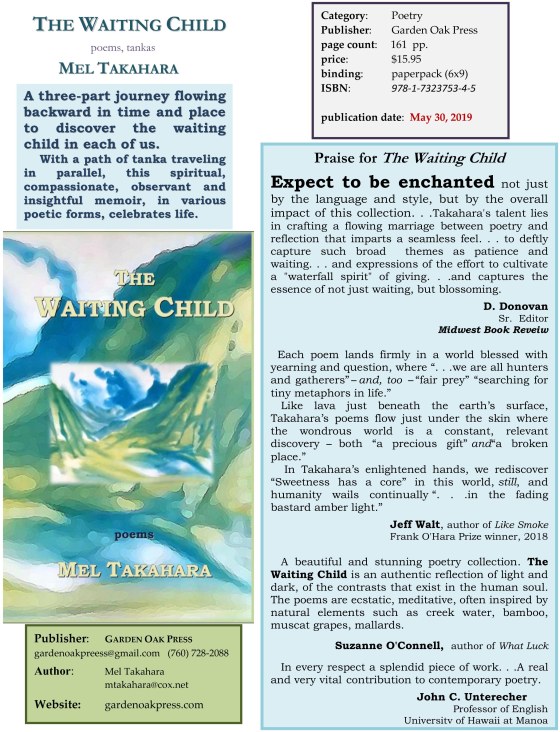 Fact Sheet The Waiting Child