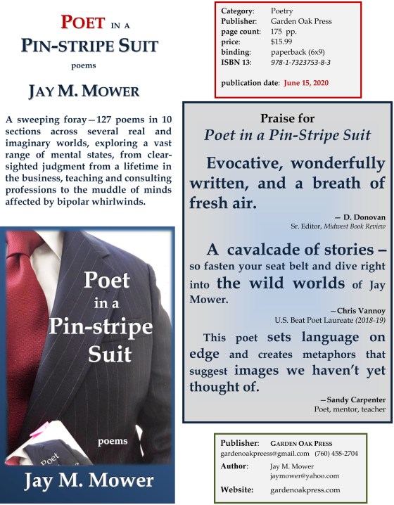 Fact Sheet Poet in a Pin-stripe Suit - REV